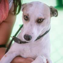 Thumbnail photo of Monica #2