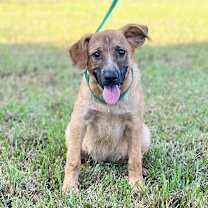 Thumbnail photo of Empress #1