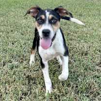 Thumbnail photo of Blizzard #1