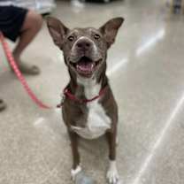 Thumbnail photo of Penny #1