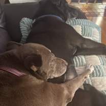 Thumbnail photo of Penny #3