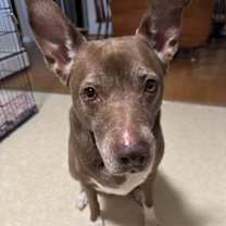 Thumbnail photo of Penny #4