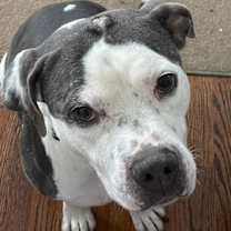 Thumbnail photo of Oliver #4