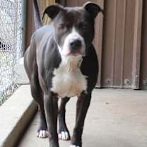 Thumbnail photo of Cash #2