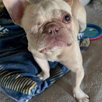 Thumbnail photo of Theo #2