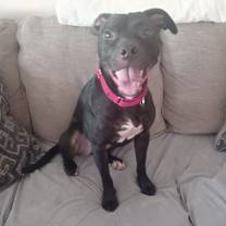 Thumbnail photo of Valentine #2