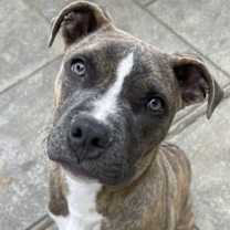 Thumbnail photo of Hatcher (GA) #2