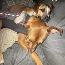 Thumbnail photo of Baby Jane (AL) #4