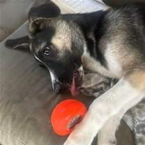 Thumbnail photo of Colby (TX) #3