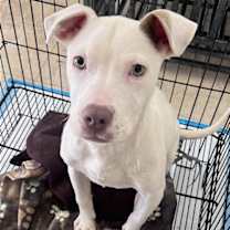 Thumbnail photo of Lena (GA) #1