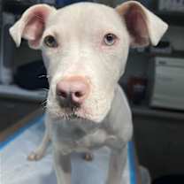 Thumbnail photo of Lena (GA) #2