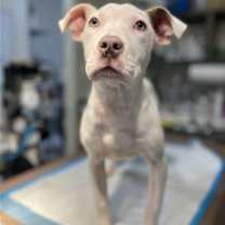 Thumbnail photo of Lena (GA) #3