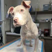 Thumbnail photo of Lena (GA) #4