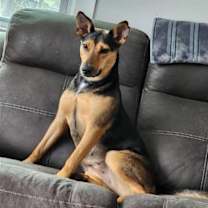 Thumbnail photo of Violet (TX) #4