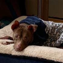 Thumbnail photo of Mindy (TN) #4