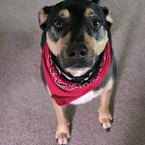 Thumbnail photo of Kiwi (GA) #2
