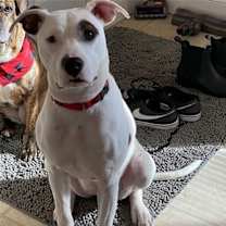 Thumbnail photo of Leila #1