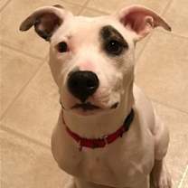 Thumbnail photo of Leila #2