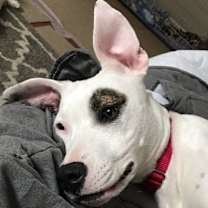 Thumbnail photo of Leila #3
