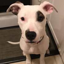 Thumbnail photo of Leila #4