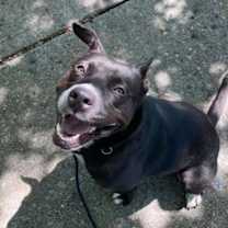 Thumbnail photo of Savannah #2