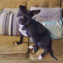 Thumbnail photo of Savannah #3