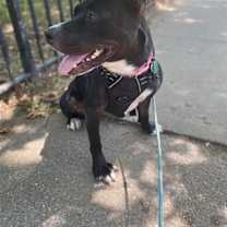 Thumbnail photo of Savannah #4