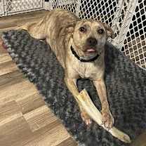 Thumbnail photo of Rey (TX) #1