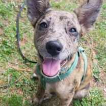 Thumbnail photo of Rey (TX) #4