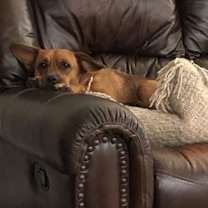 Thumbnail photo of Carly (GA) #2