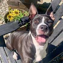 Thumbnail photo of Shelly #2