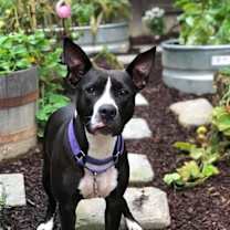 Thumbnail photo of Shelly #4