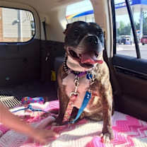 Thumbnail photo of Dre #3