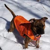 Thumbnail photo of Nala #3