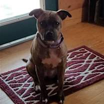 Thumbnail photo of Nala #4