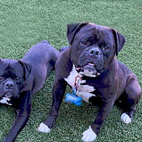 Thumbnail photo of Jack and Betty #1