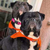 Thumbnail photo of Jack and Betty #2