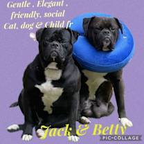 Thumbnail photo of Jack and Betty #3