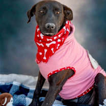 Thumbnail photo of Lisa #2