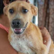 Thumbnail photo of Julio #1