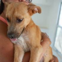 Thumbnail photo of Julio #3