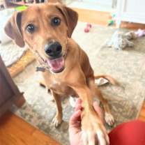 Thumbnail photo of Moose McDougal #2