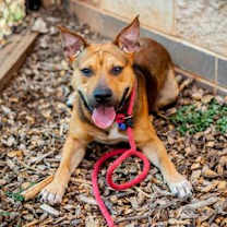Thumbnail photo of Wrigley - IN FOSTER #1
