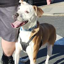 Thumbnail photo of Kit Kat #1