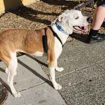 Thumbnail photo of Kit Kat #3