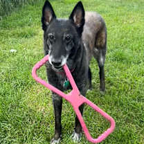 Thumbnail photo of Nikki #2