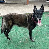 Thumbnail photo of Nikki #3