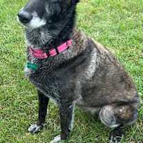 Thumbnail photo of Nikki #4