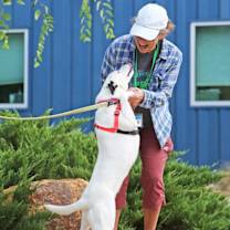 Thumbnail photo of Seren #4