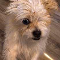 Thumbnail photo of Kiki (CP) #2